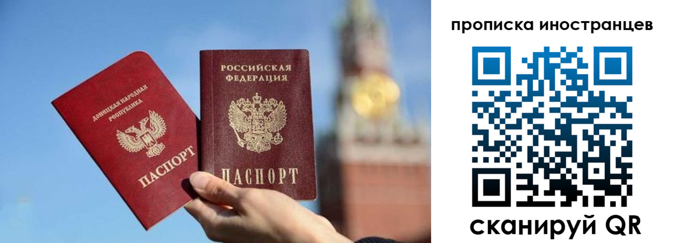 прописка штамп в Апатитах