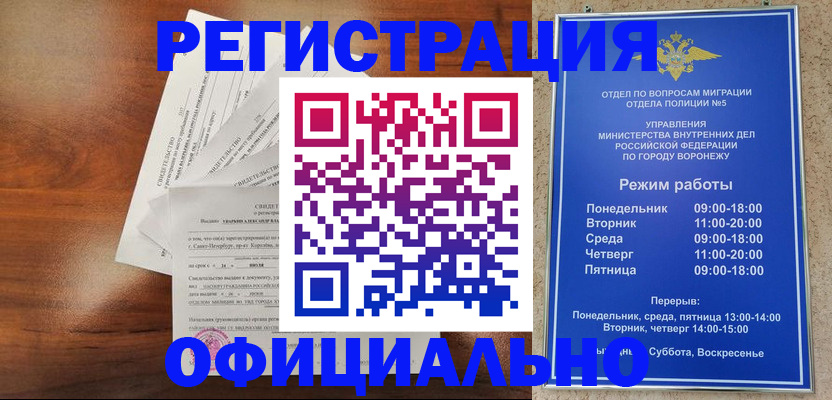 прописка поиск в Апатитах